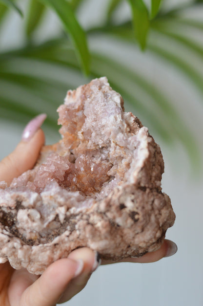 Pink Amethyst Cluster