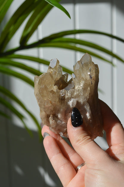 Natural Citrine Cluster