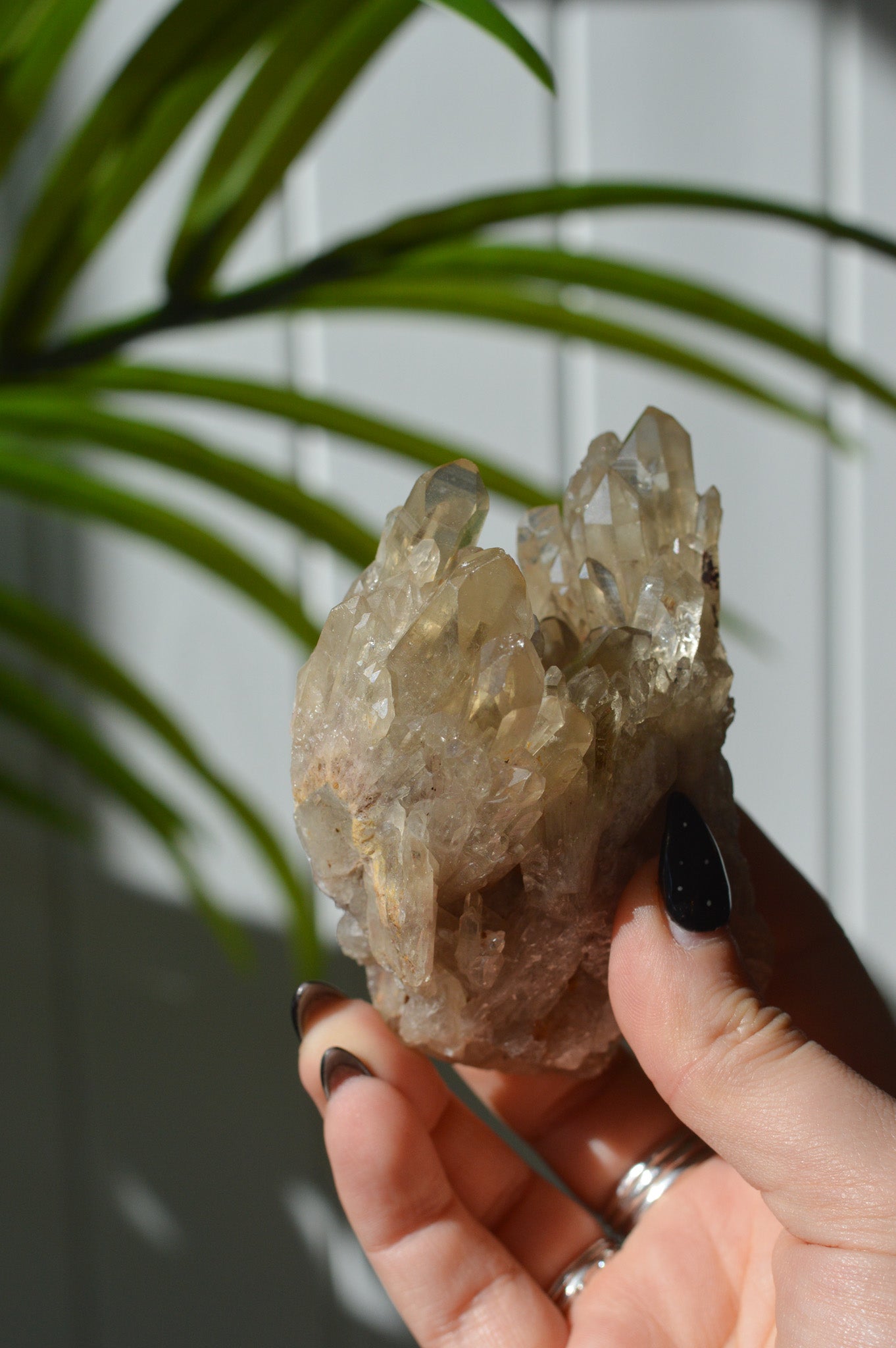 Natural Citrine Cluster