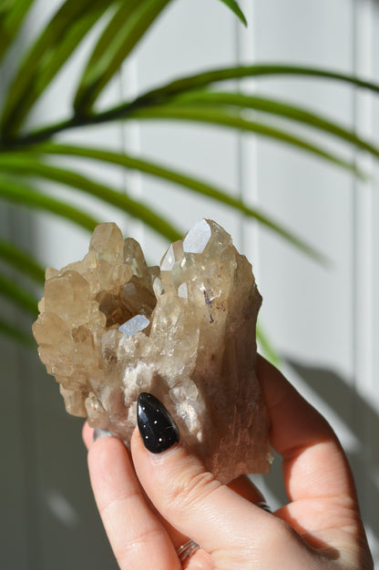 Natural Citrine Cluster