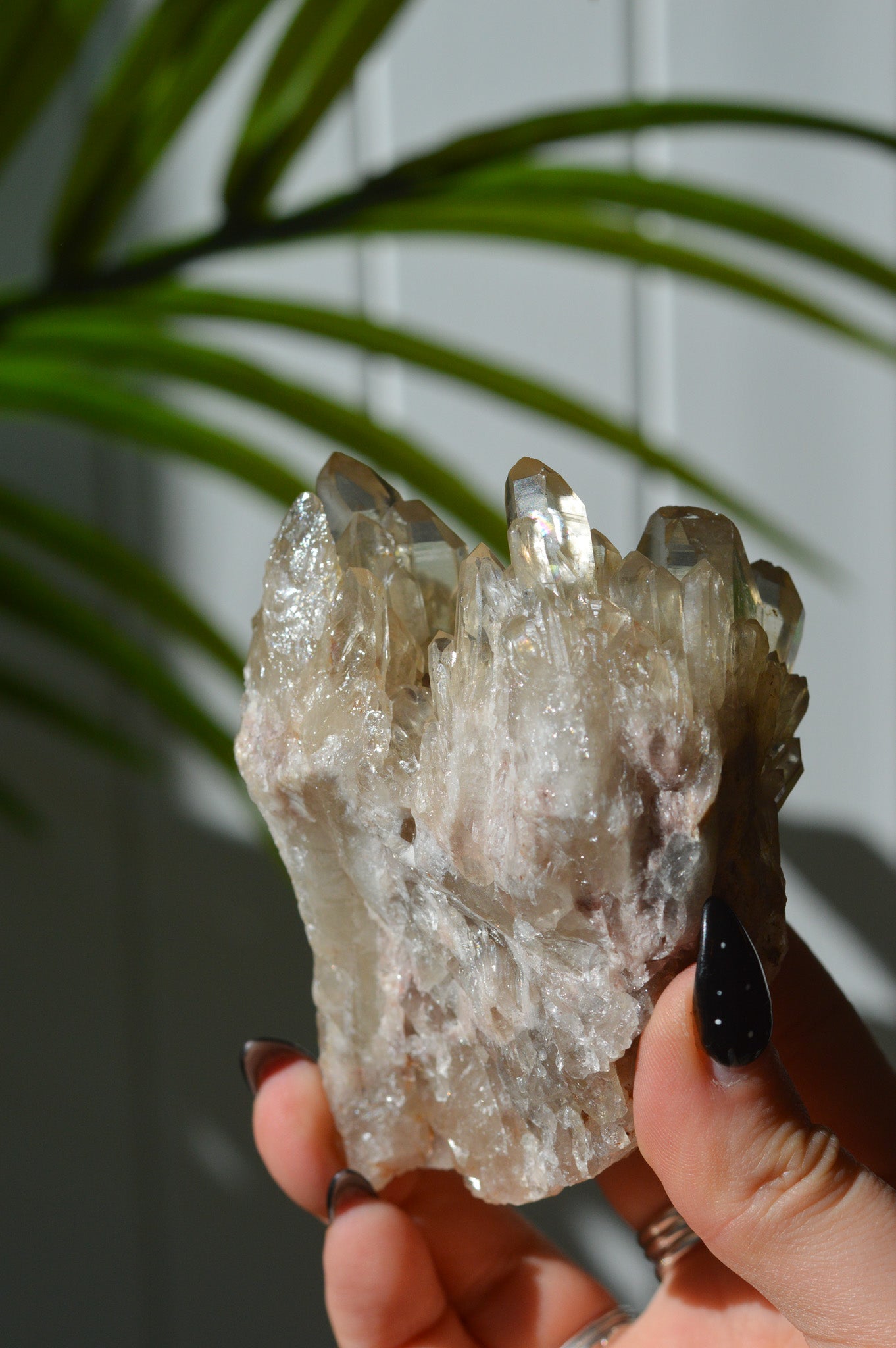 Natural Citrine Cluster