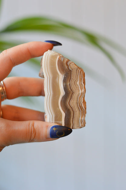 Caramel Agate Freeform