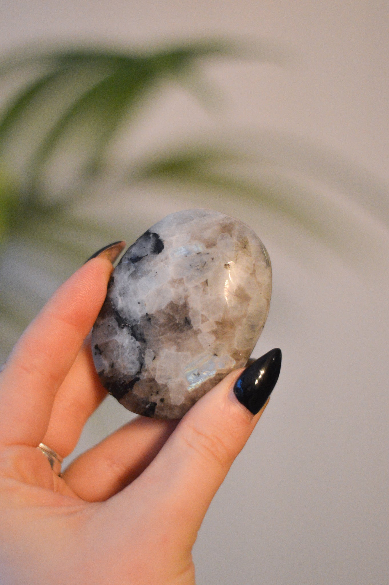 Rainbow Moonstone Palmstone II