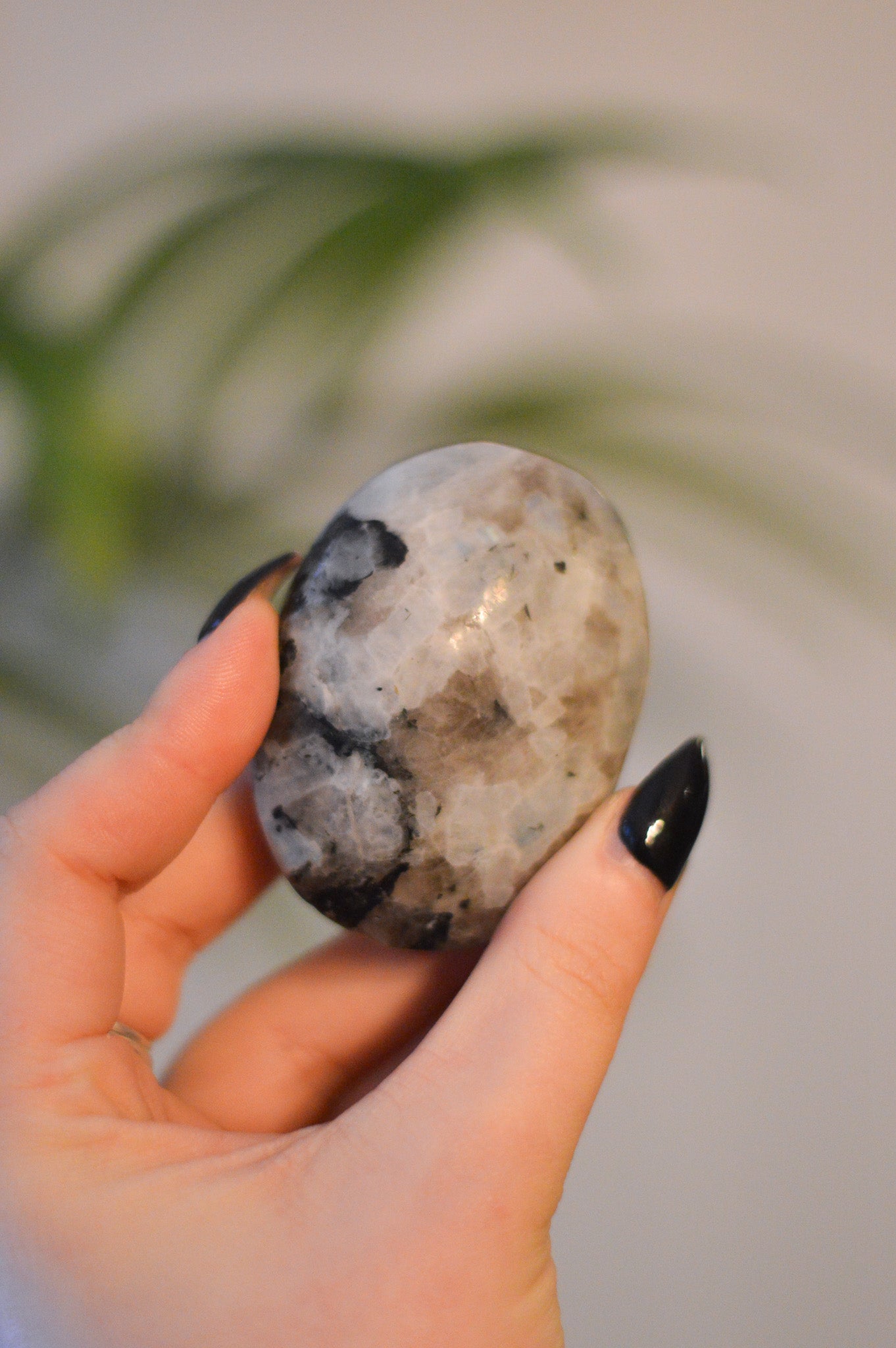 Rainbow Moonstone Palmstone II