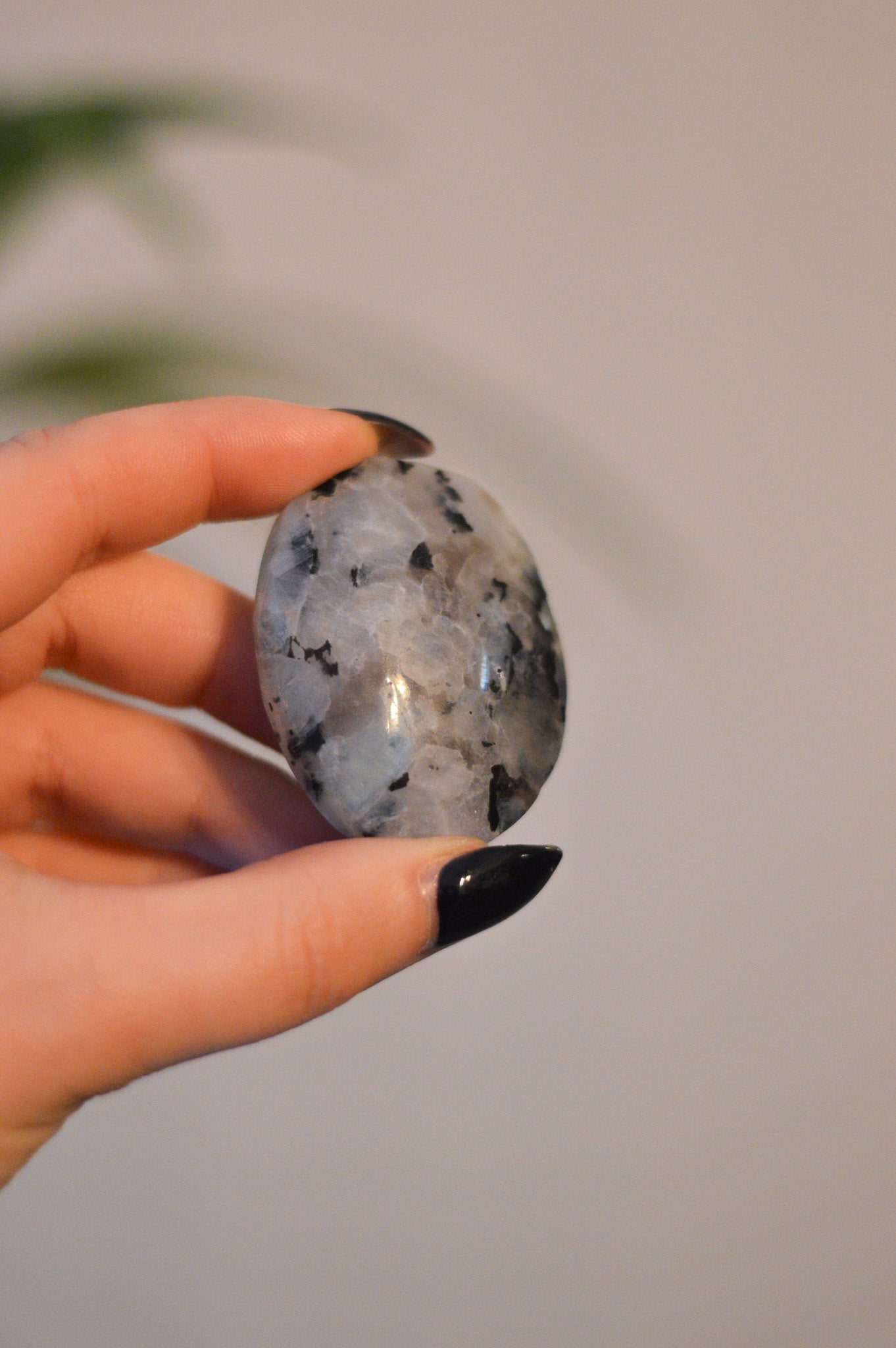 Rainbow Moonstone Palmstone I