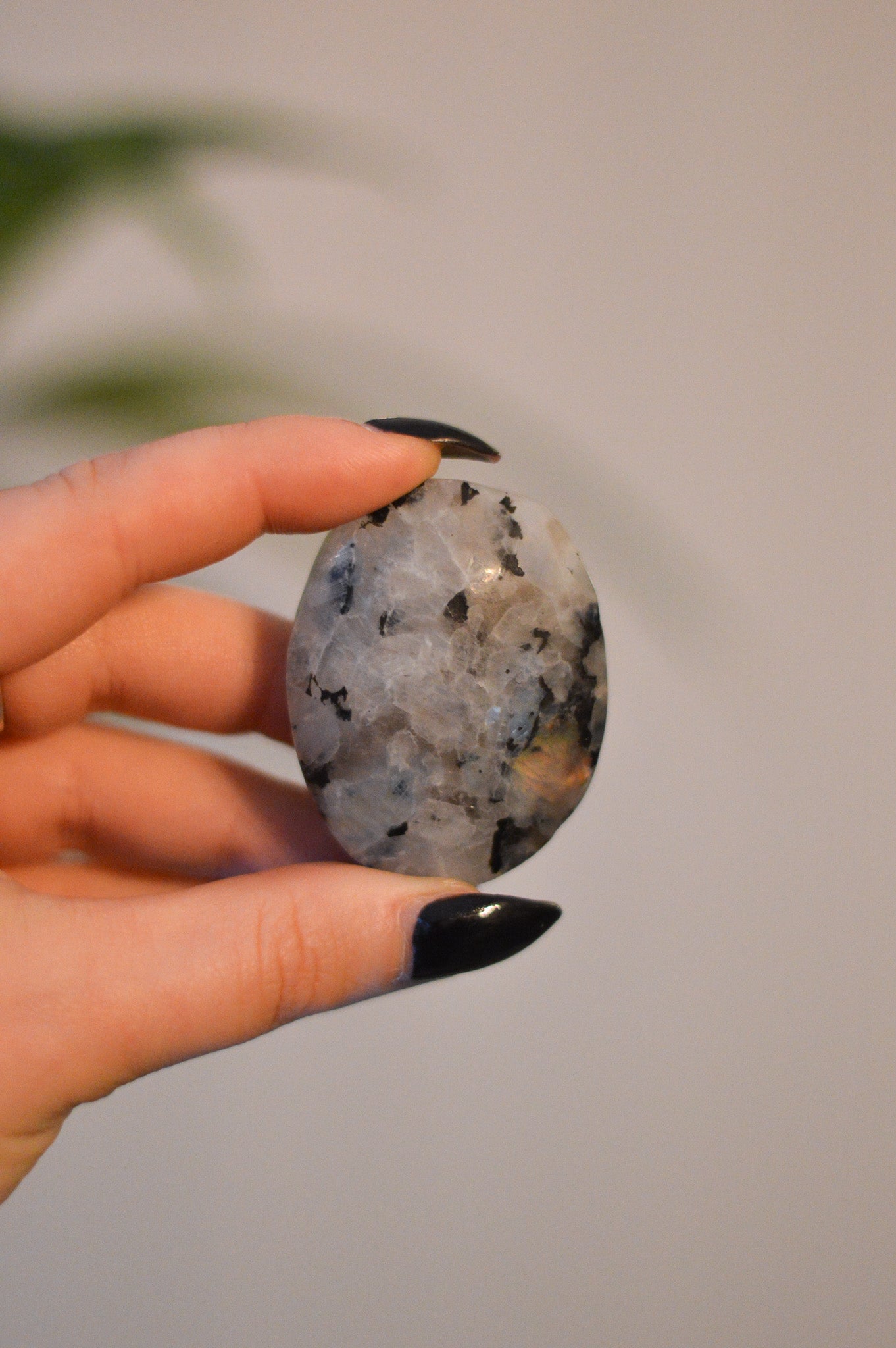 Rainbow Moonstone Palmstone I