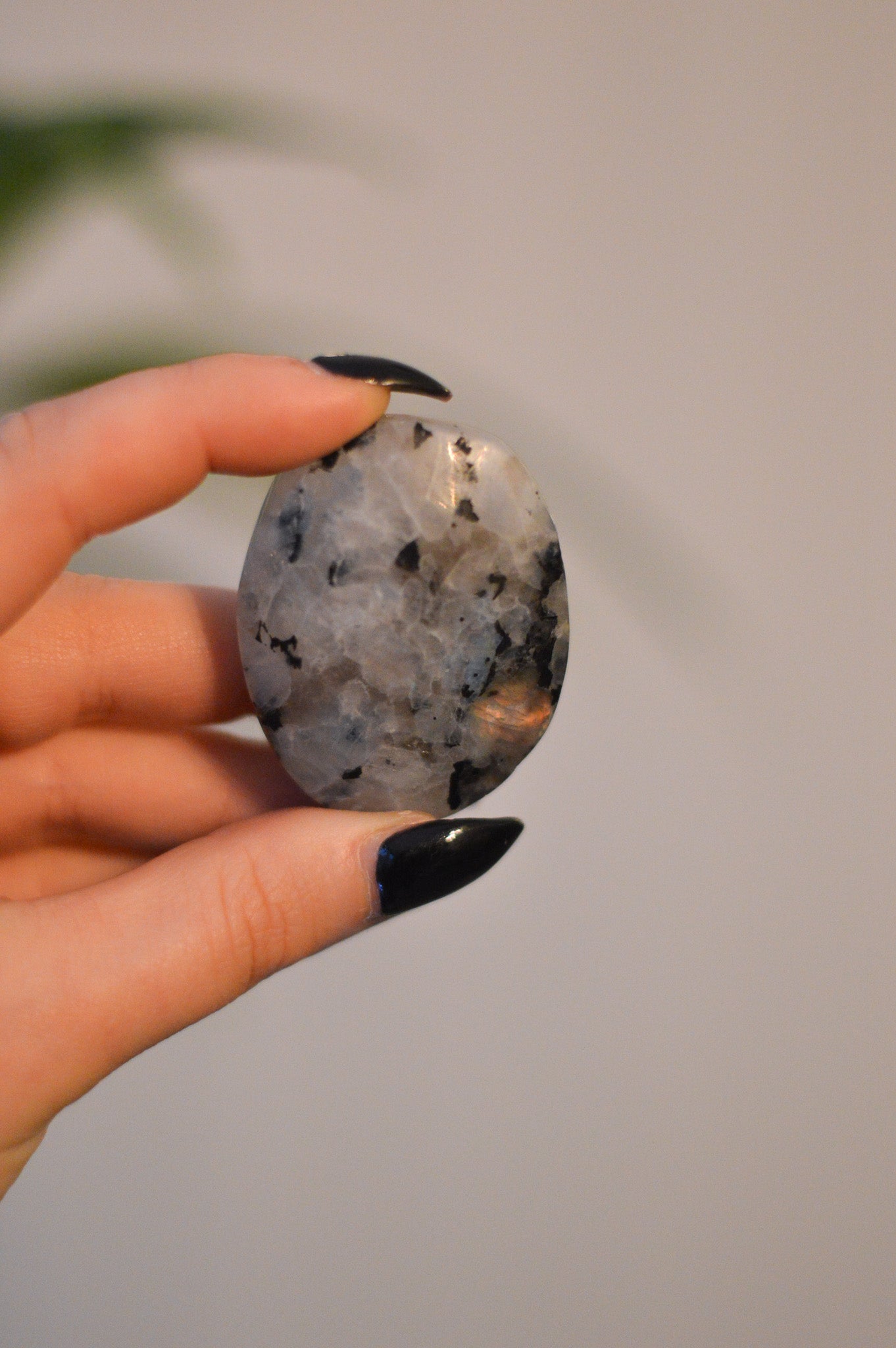 Rainbow Moonstone Palmstone I