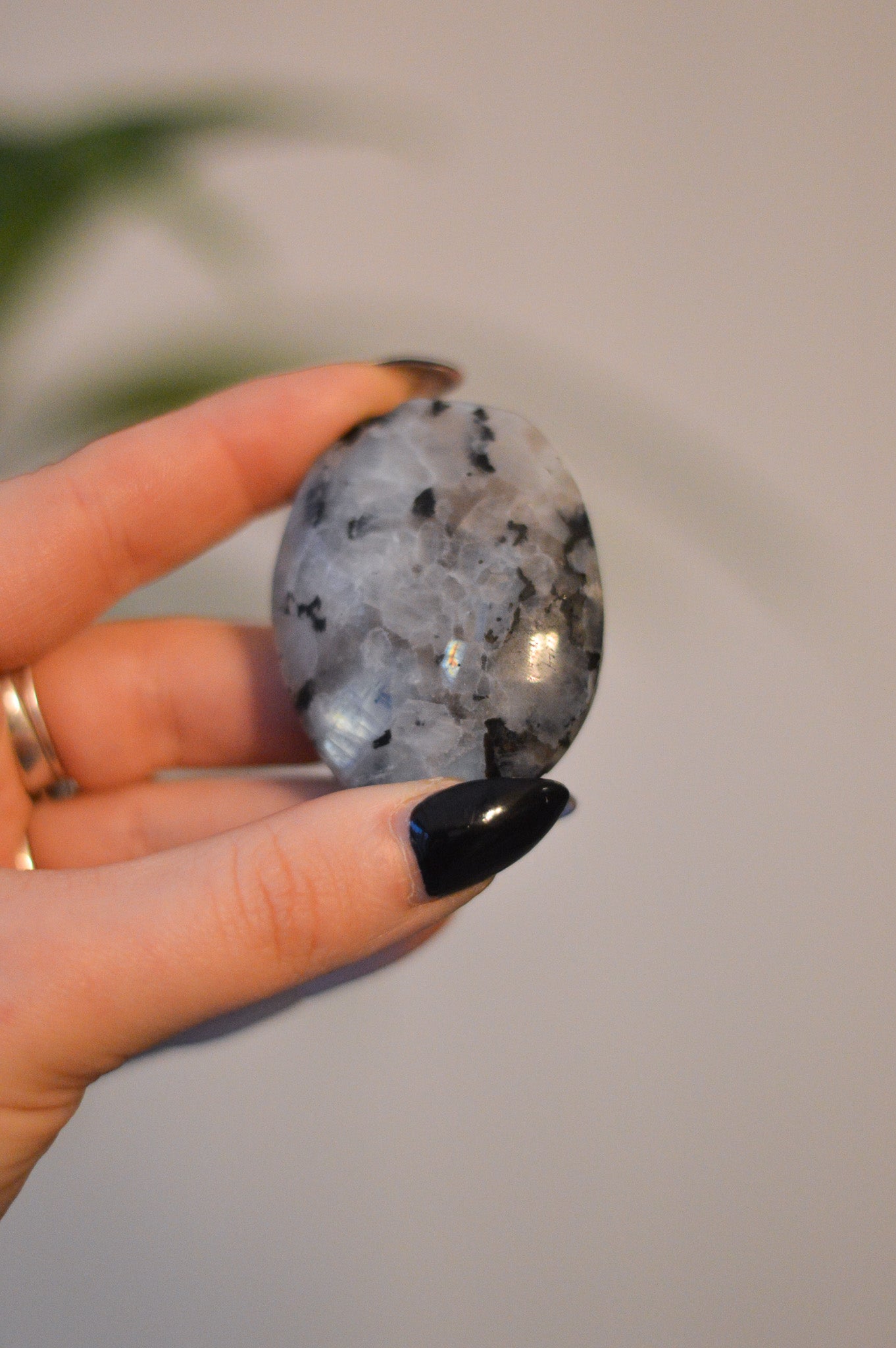 Rainbow Moonstone Palmstone I