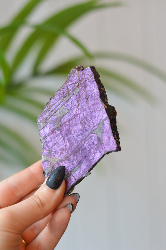 Purpurite Slice