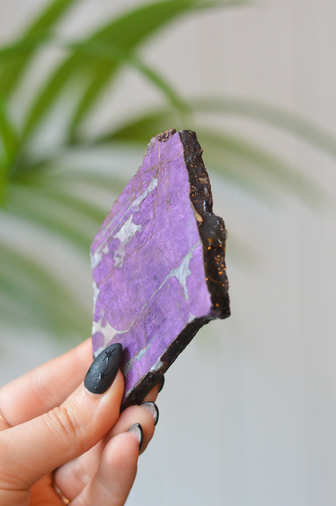 Purpurite Slice