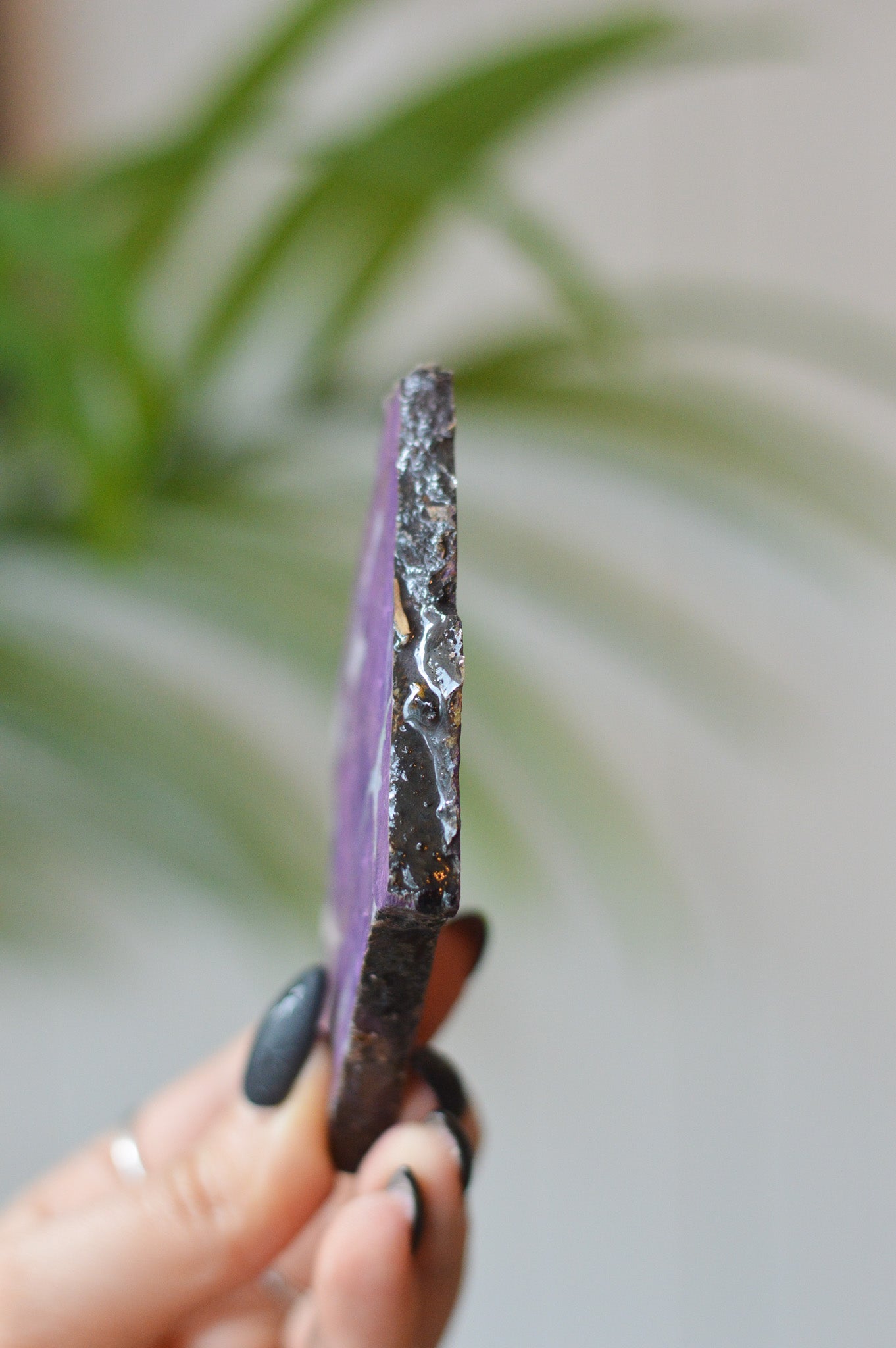 Purpurite Slice