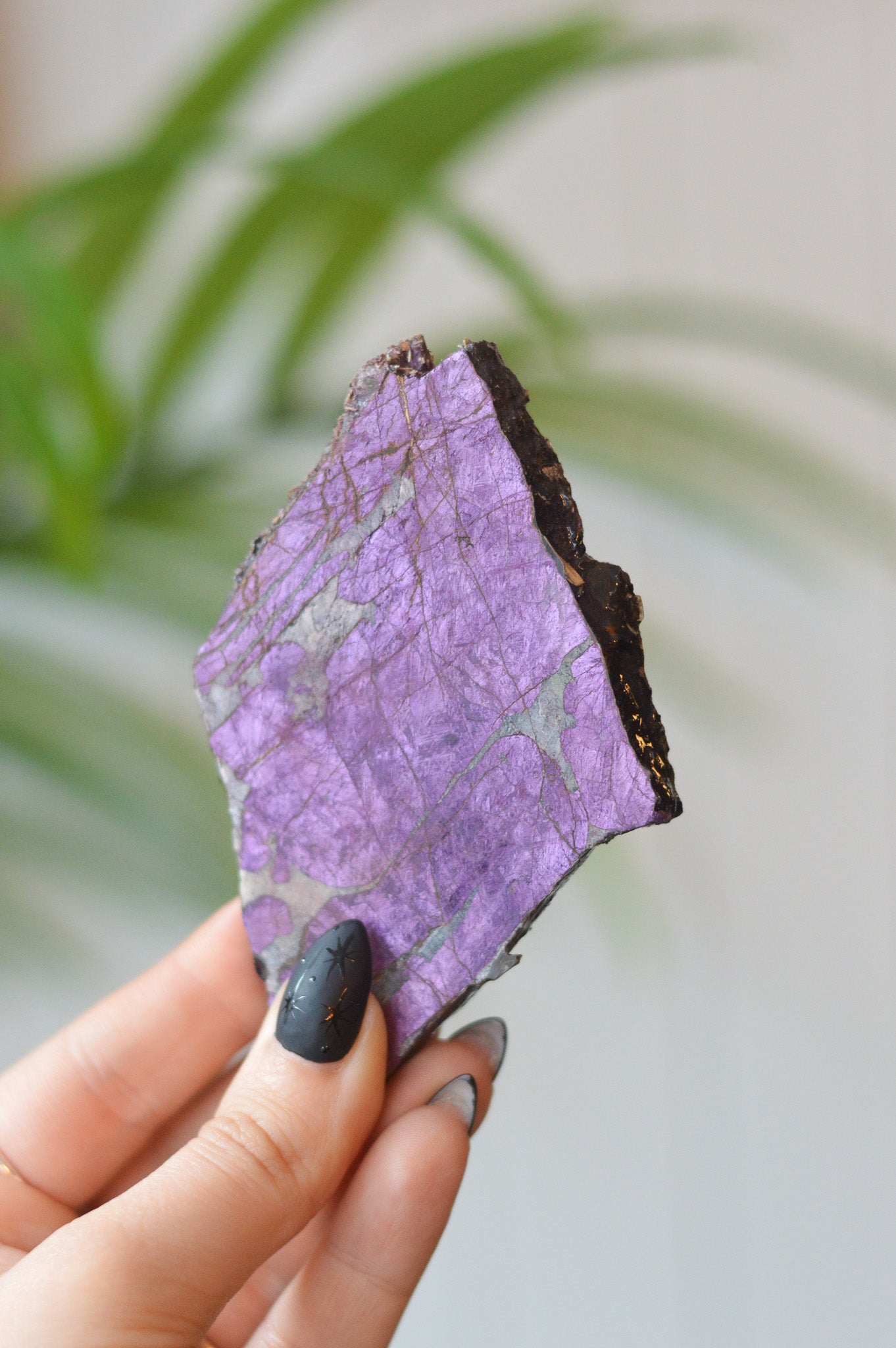 Purpurite Slice