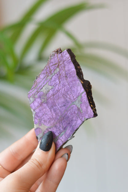 Purpurite Slice