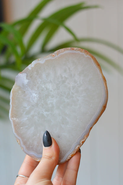 White Agate Slice