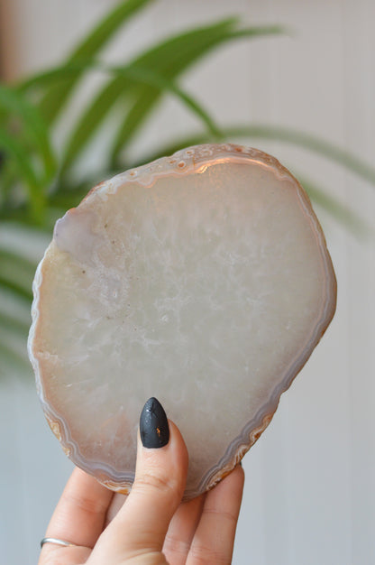 White Agate Slice