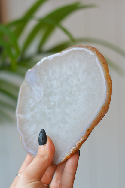 White Agate Slice