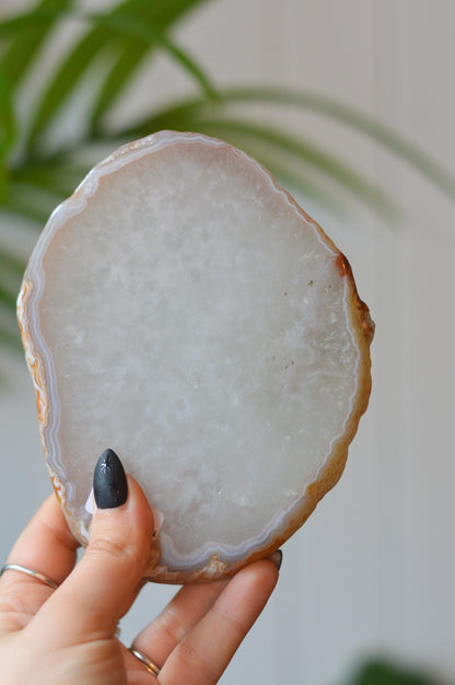 White Agate Slice