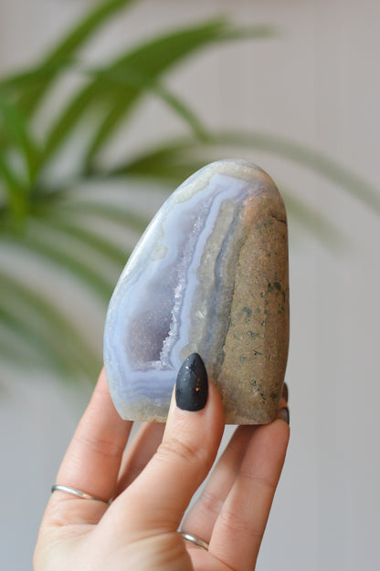 Blue Lace Agate Freeform