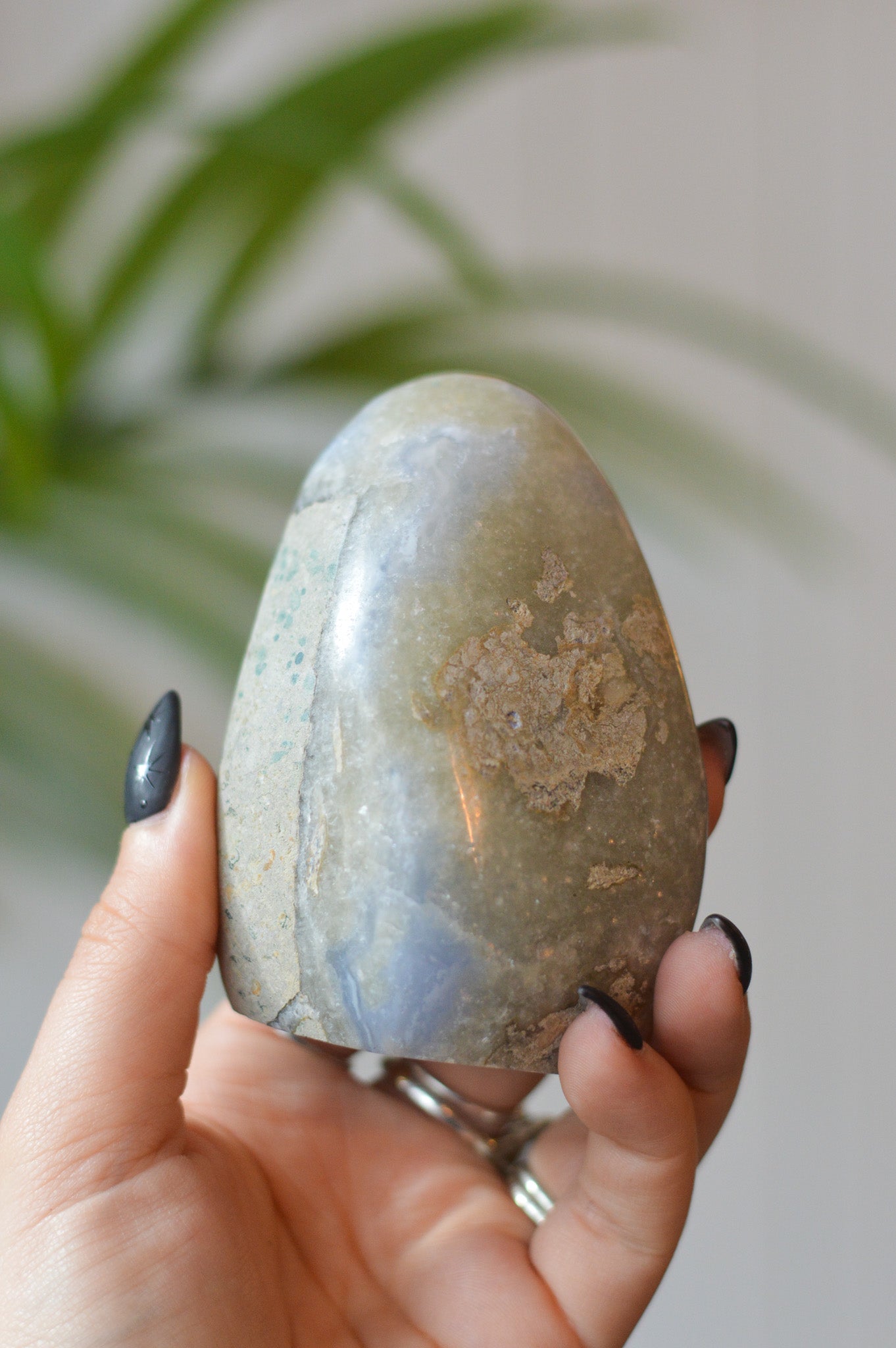 Blue Lace Agate Freeform