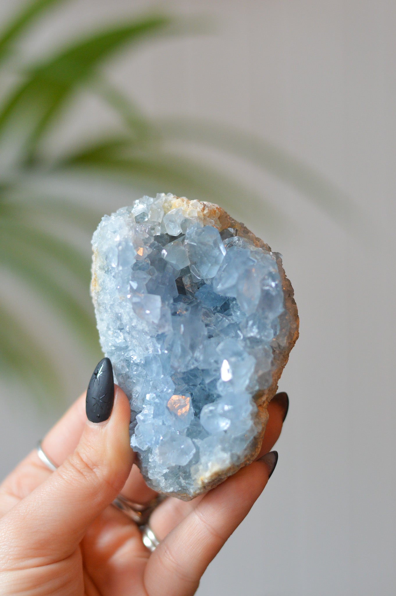 Celestite Cluster