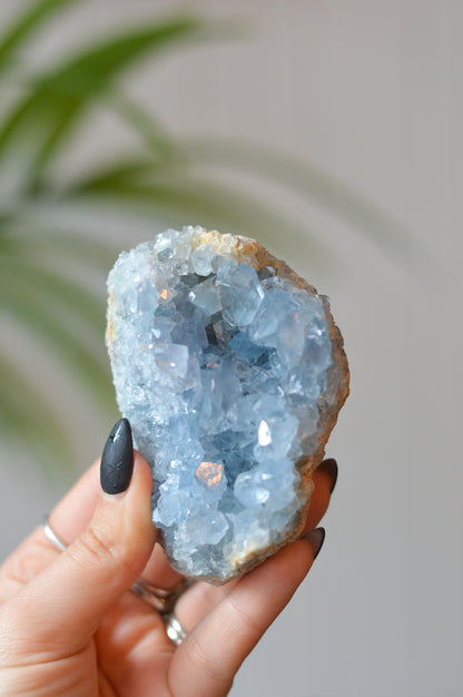 Celestite Cluster
