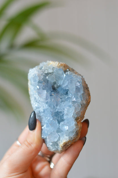 Celestite Cluster