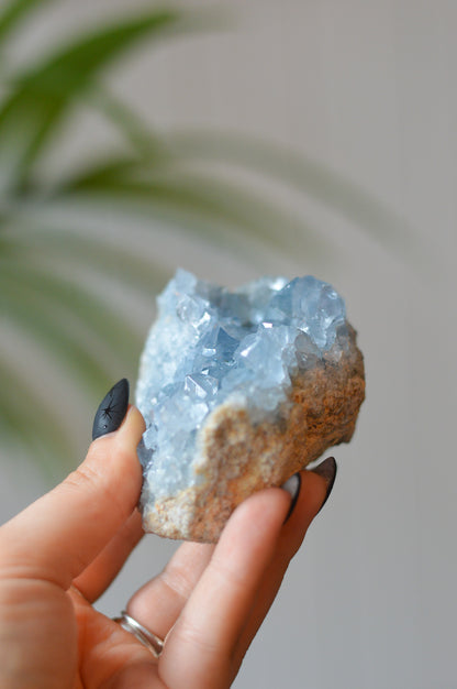 Celestite Cluster