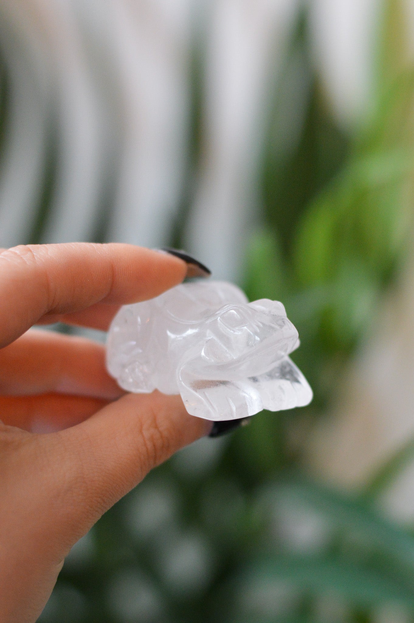Quartz Frog