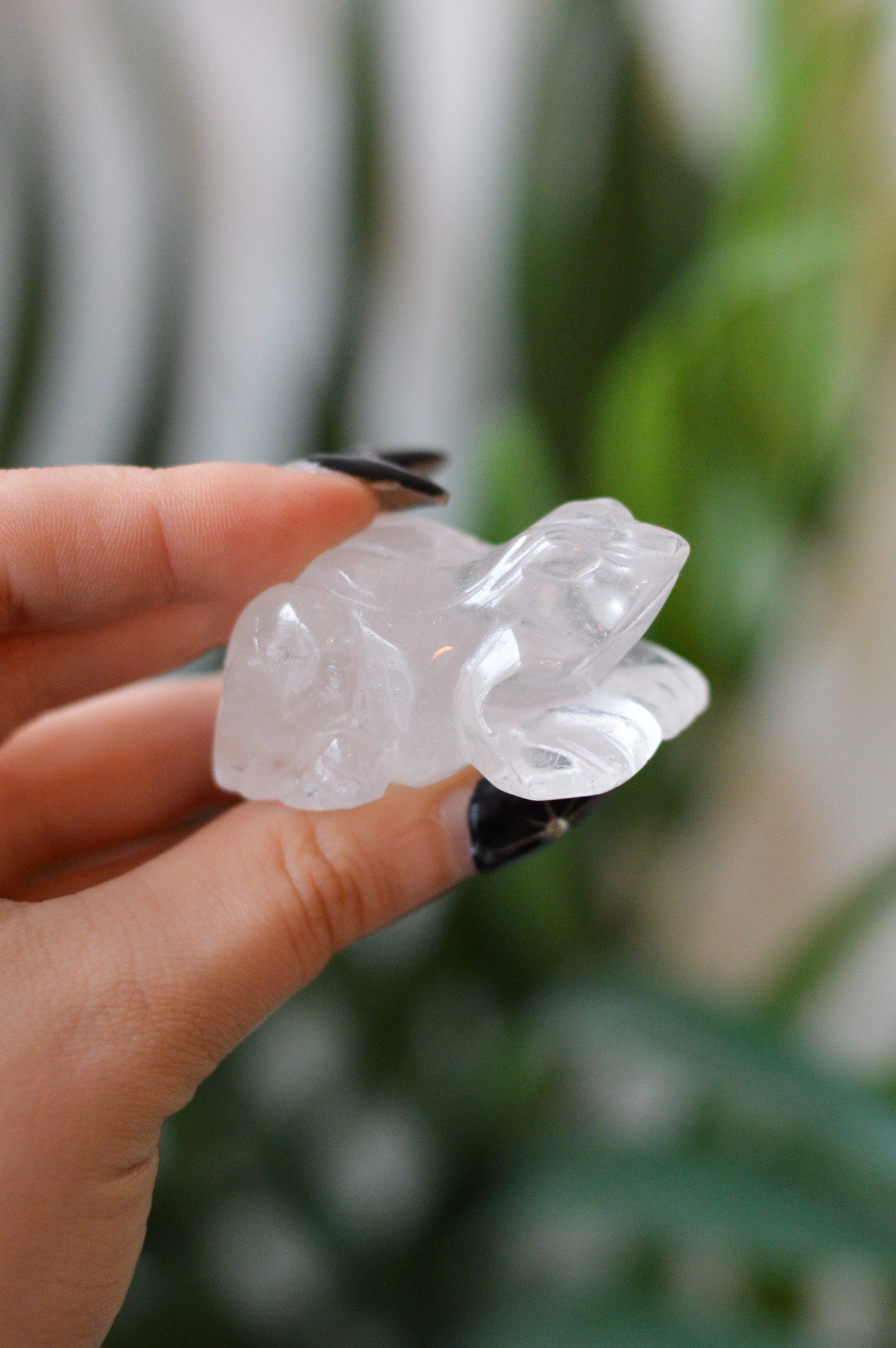 Quartz Frog