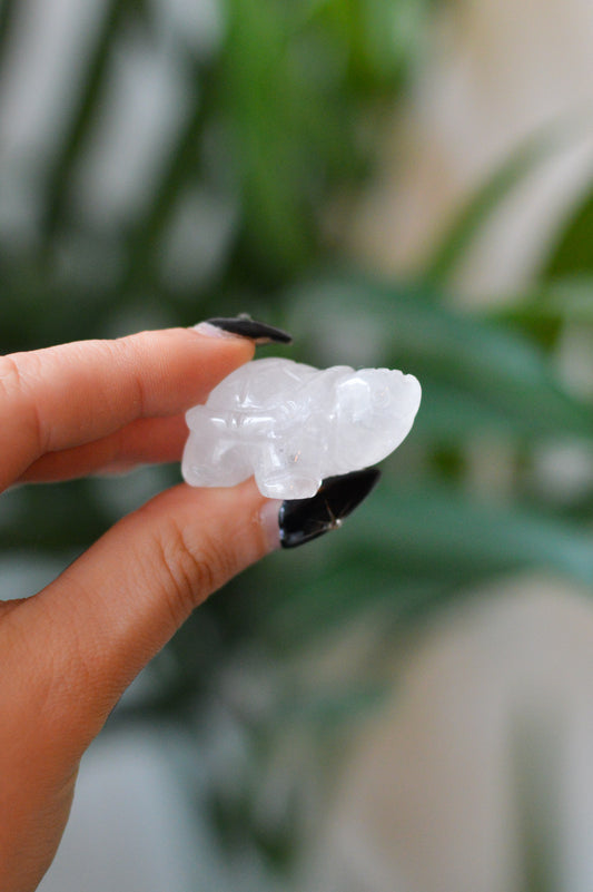 Quartz Turtle