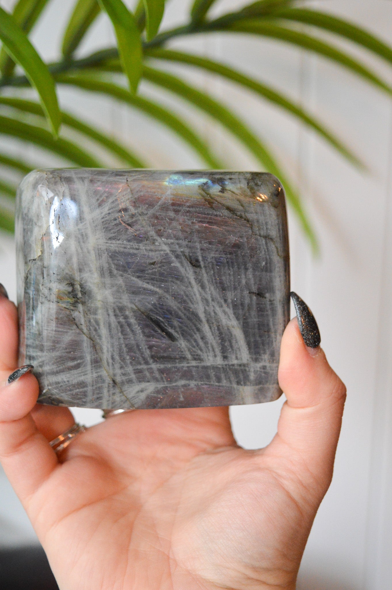 Purple Labradorite Standing Freeform