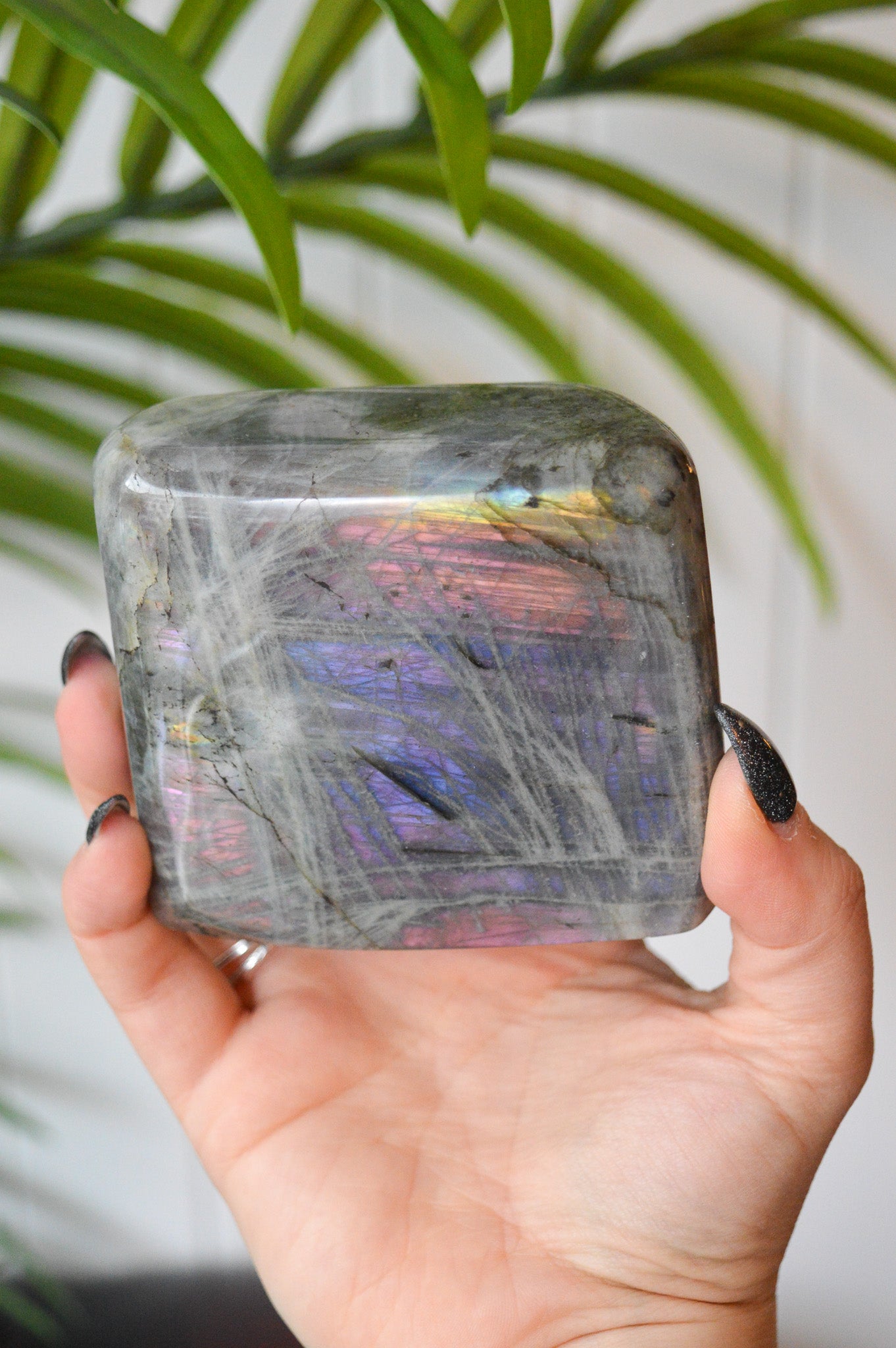 Purple Labradorite Standing Freeform