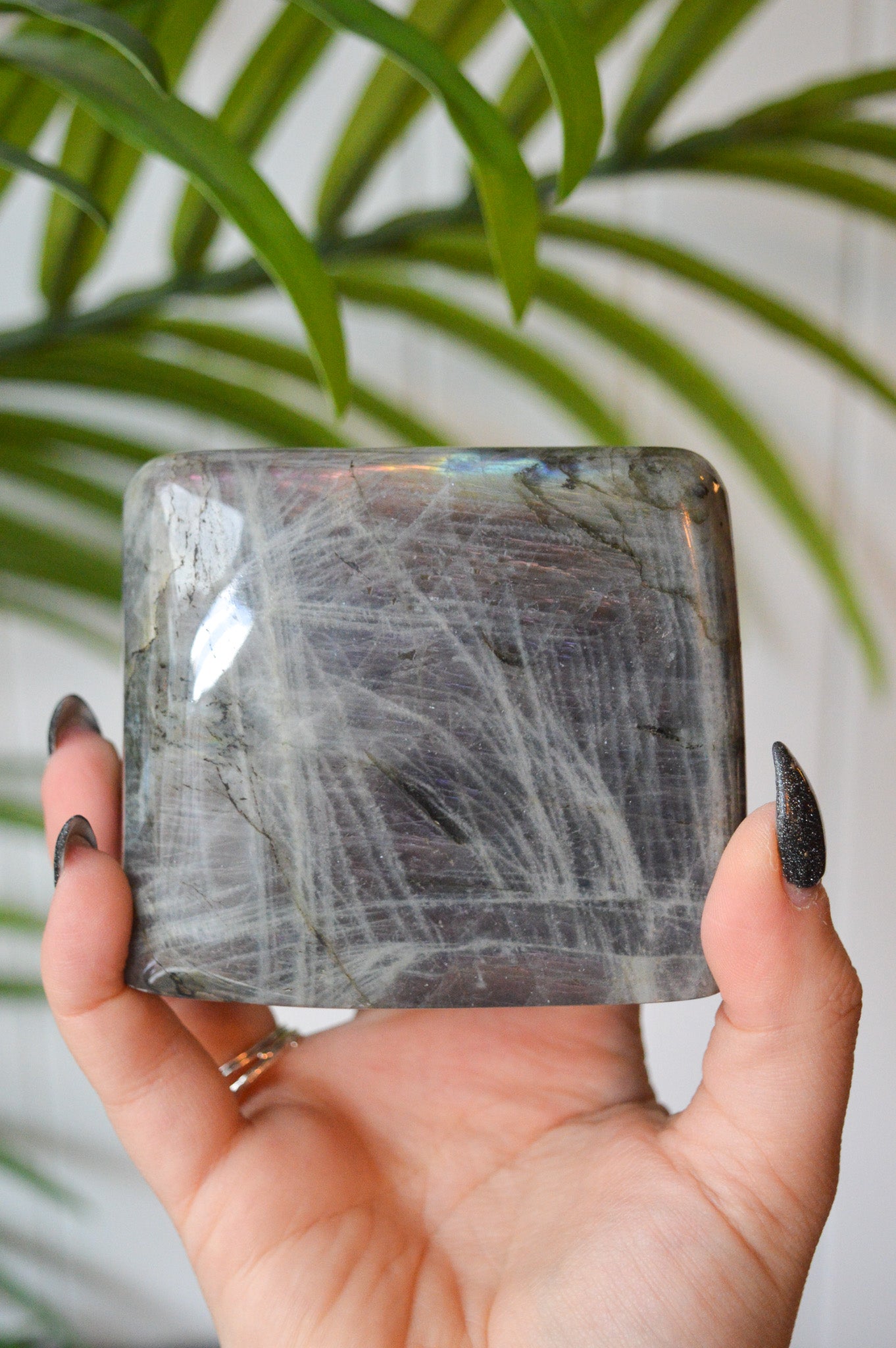 Purple Labradorite Standing Freeform