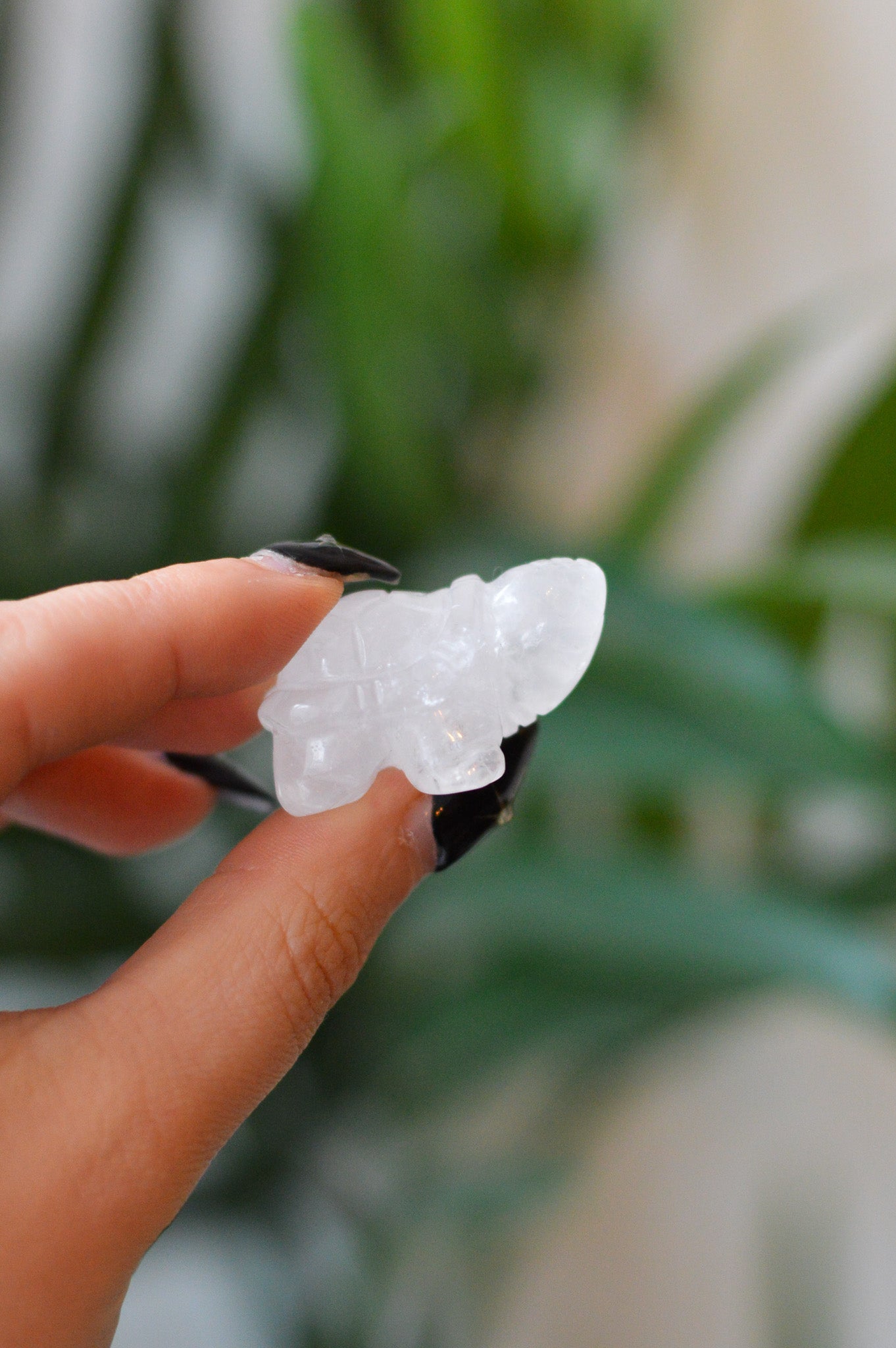Quartz Turtle