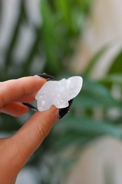 Quartz Turtle