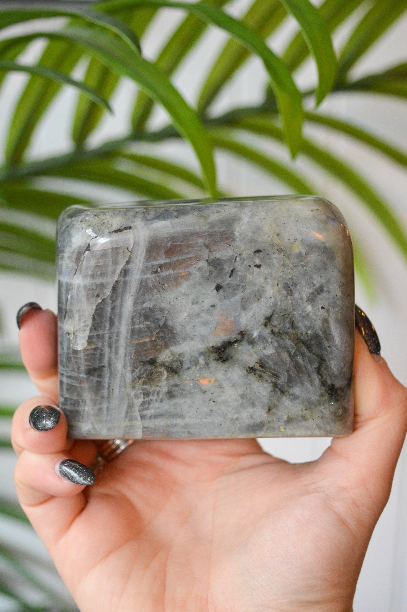 Purple Labradorite Standing Freeform