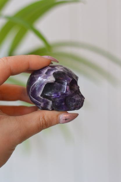 Chevron Amethyst Skull