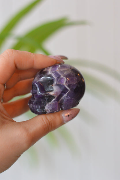 Chevron Amethyst Skull