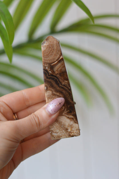 Chocolate Calcite Point