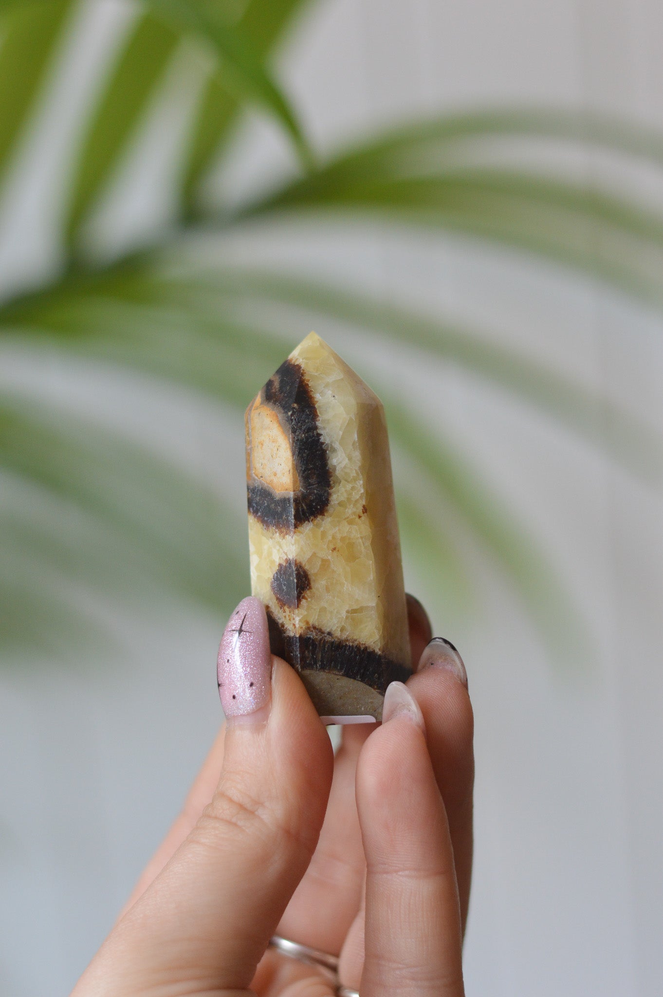 Septarian Point