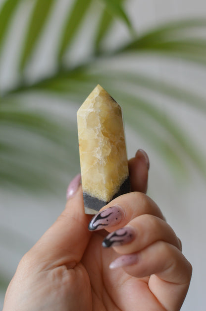 Septarian Point