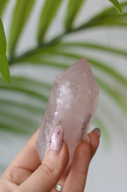 Rose Quartz DT Point
