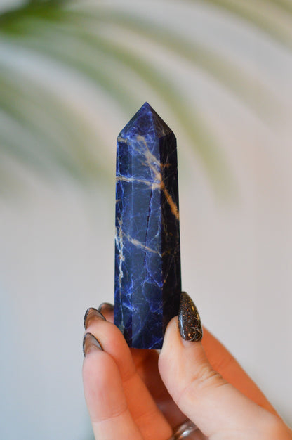Sodalite Point