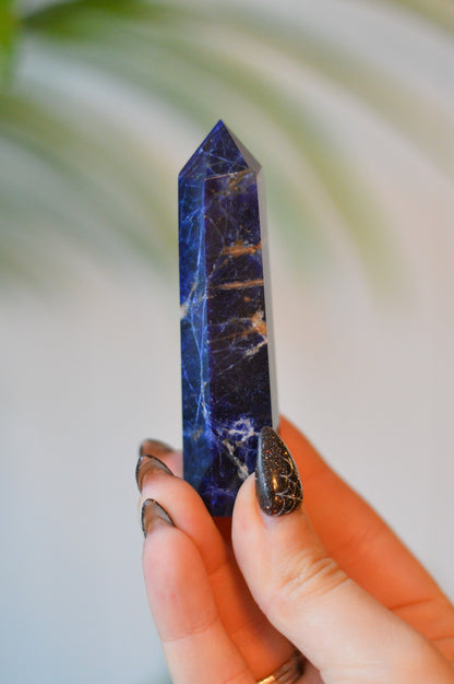 Sodalite Point