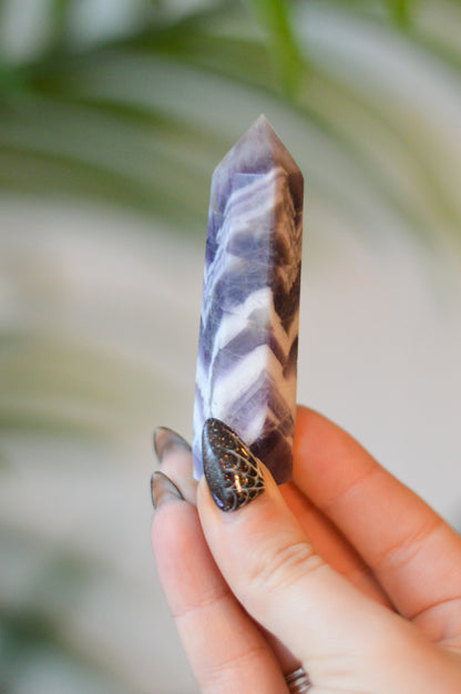Chevron Amethyst Point