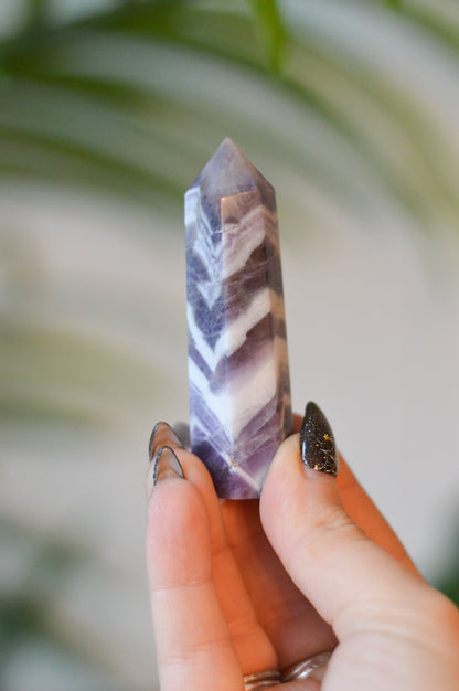 Chevron Amethyst Point