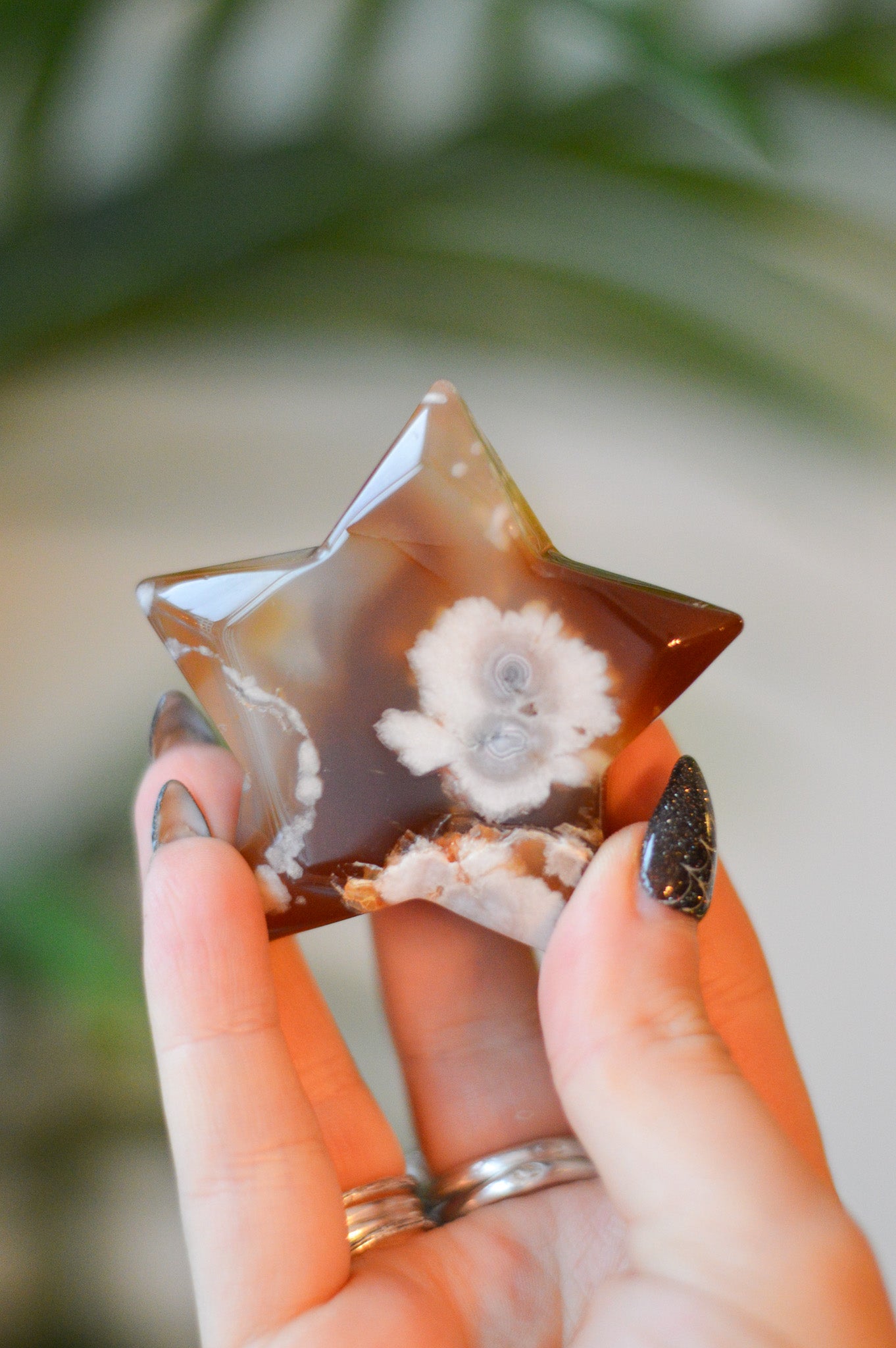 Brown Flower Agate Star