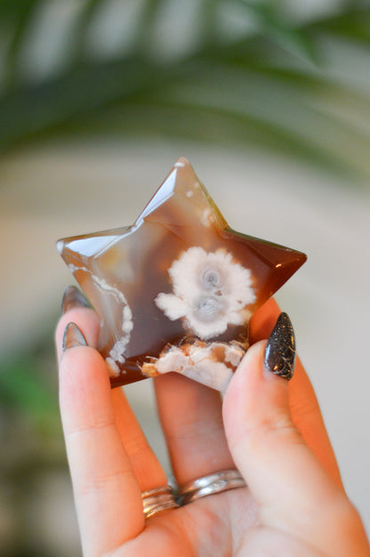 Brown Flower Agate Star