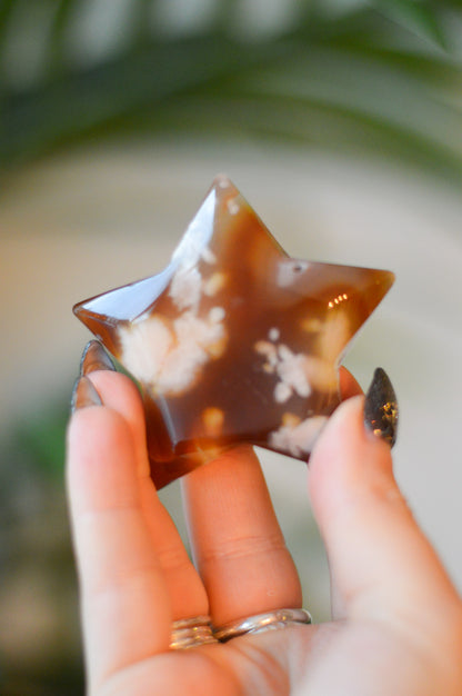 Brown Flower Agate Star