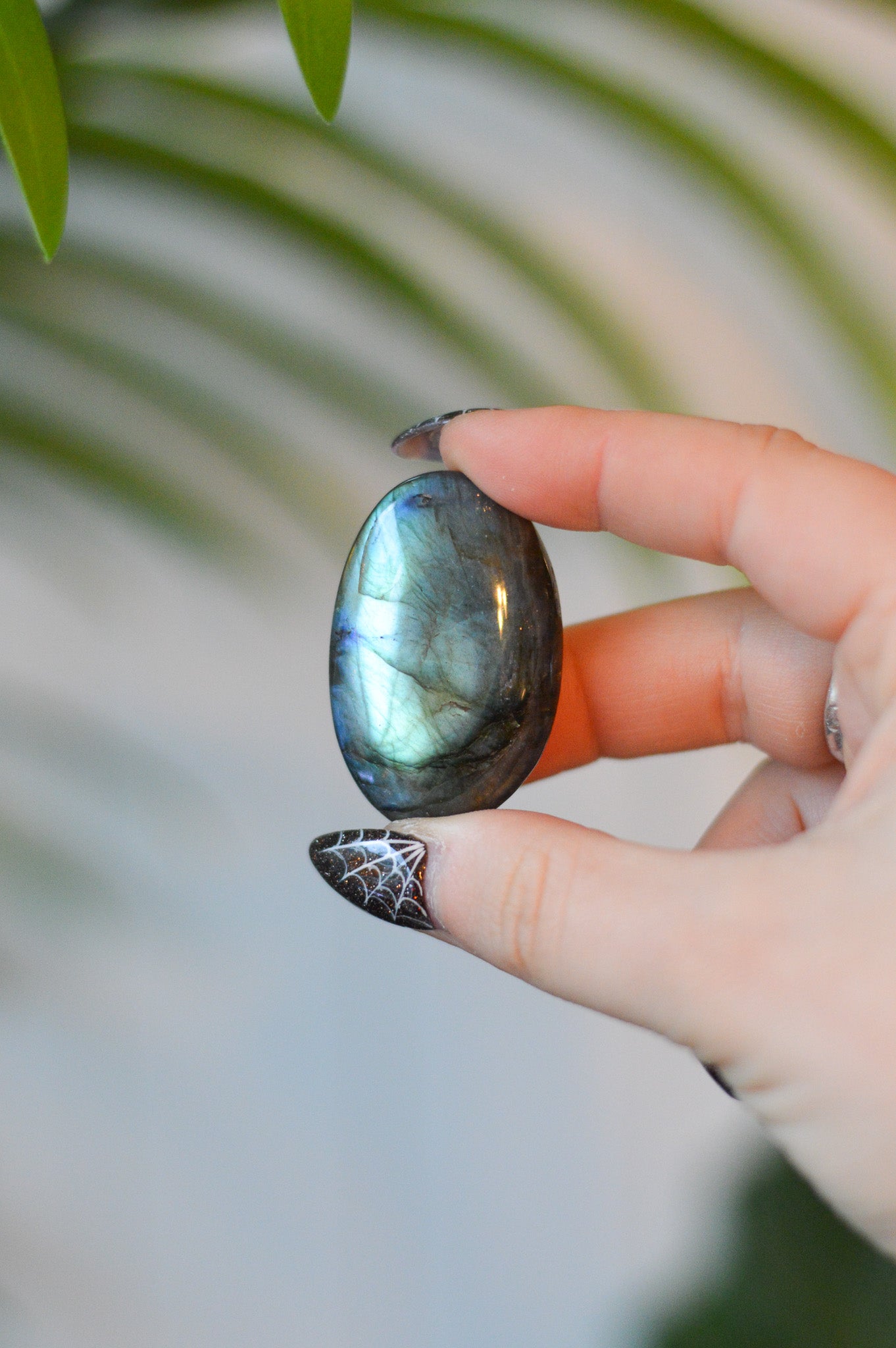 Labradorite Palm Stone #1
